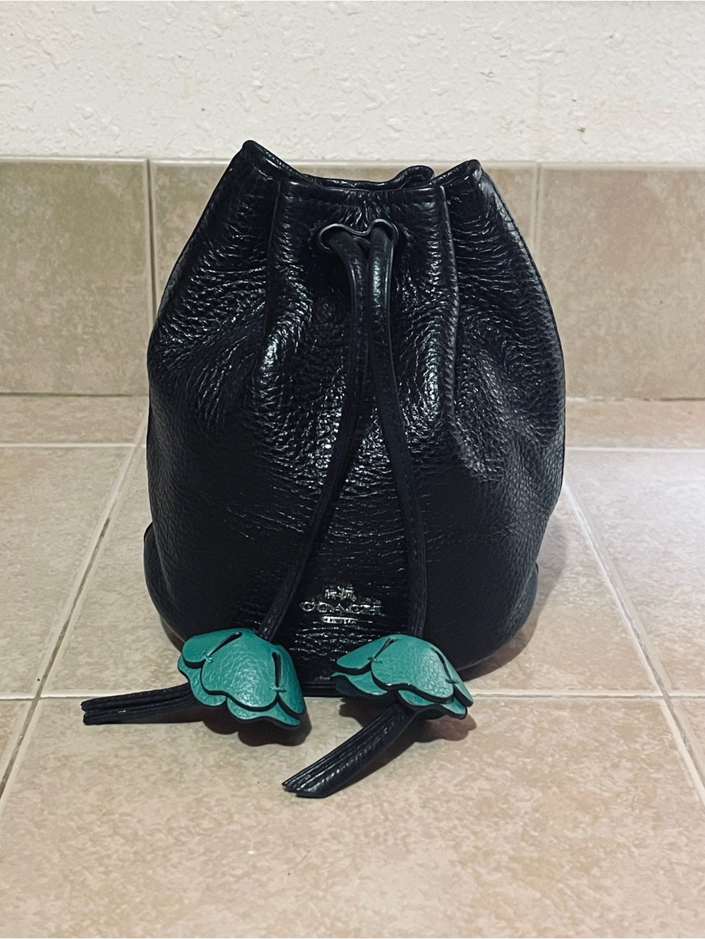 Coach Petal Leather Drawstring Mini Bucket Bag Pouch F56581